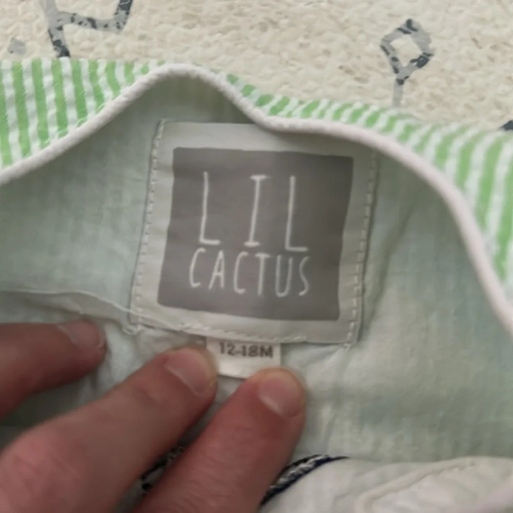 Cactus Green Striped Sailboat bubble .